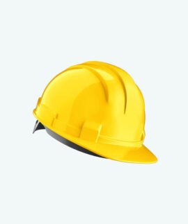 The Name of the Product