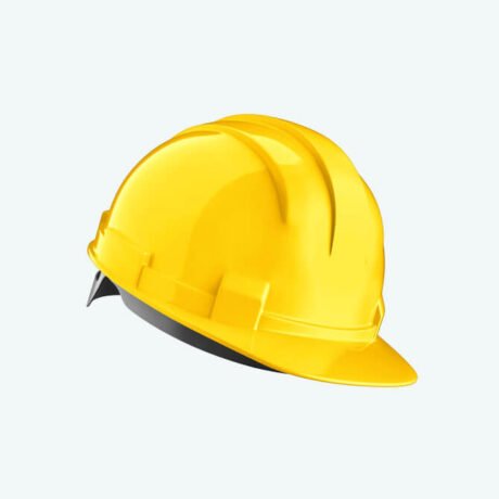 The Name of the Product